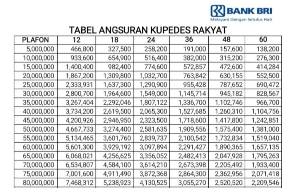 Program KUR BRI 2025 Sudah Dibuka, Cek Syarat dan Ketentuanya Disini