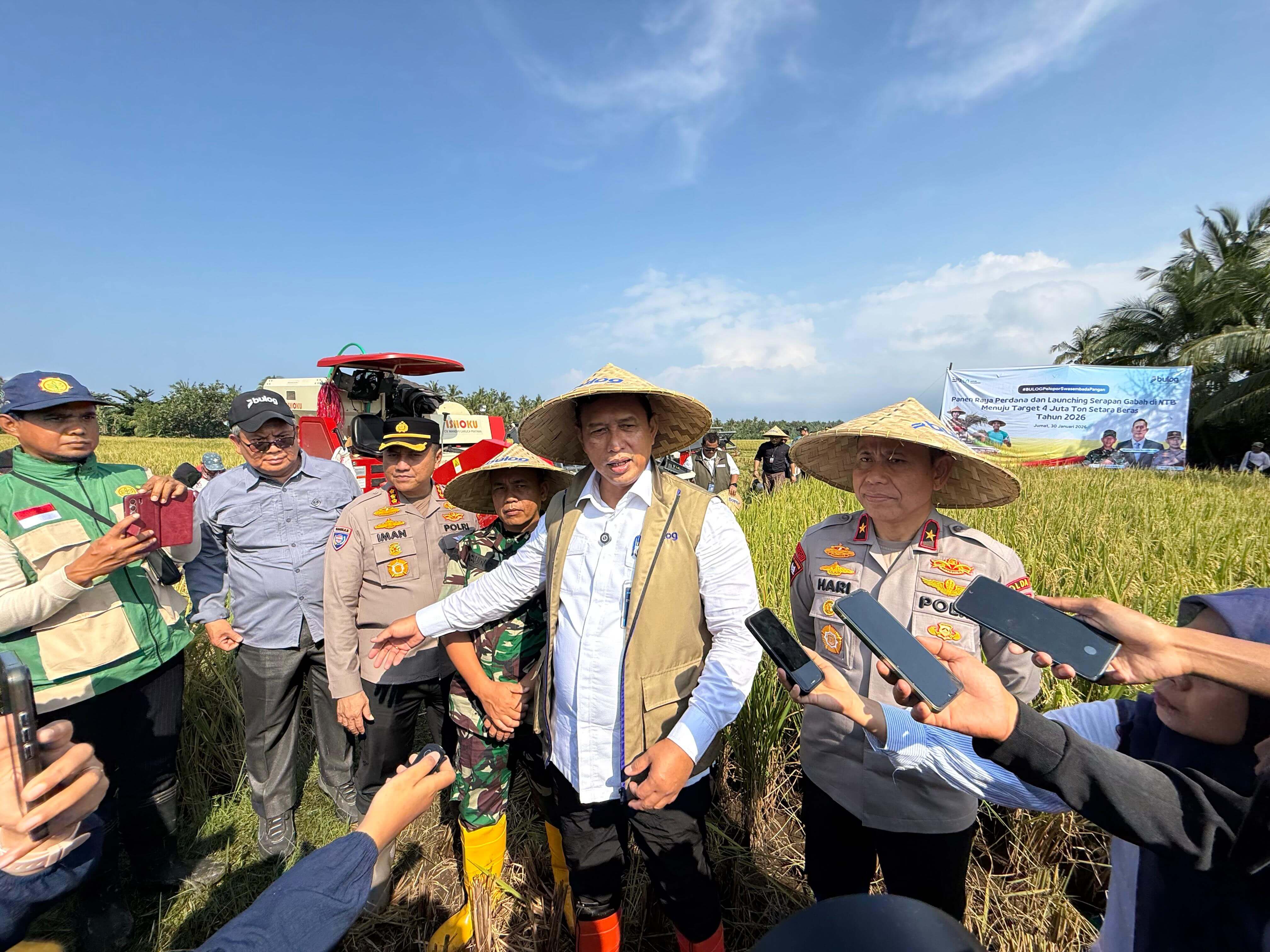 BULOG Optimalkan Serapan Gabah di NTB Menuju Target 4 Juta Ton Setara Beras Tahun 2026
