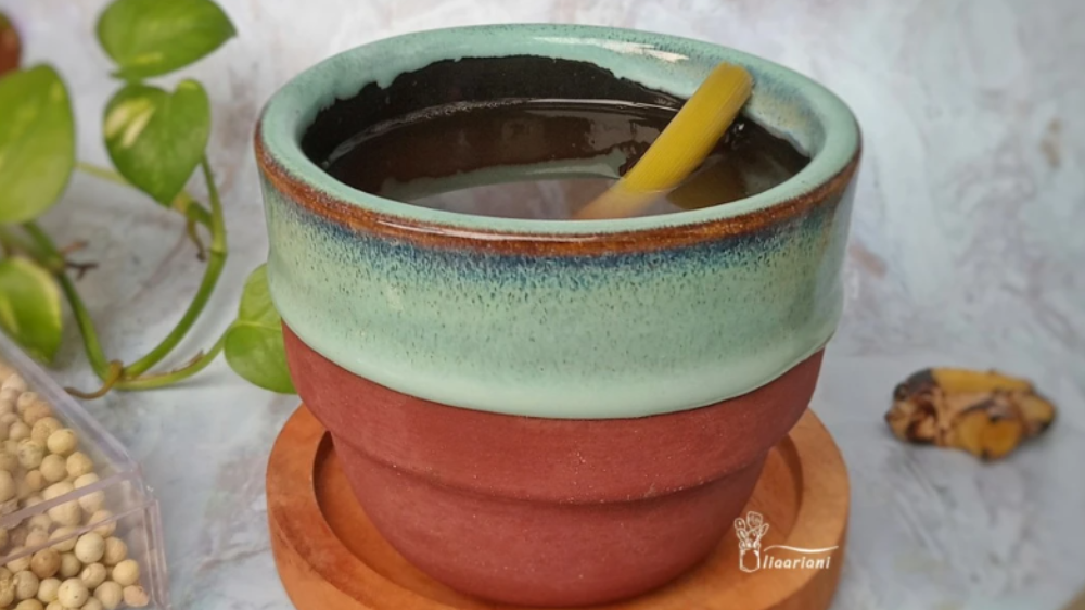Resep Serbat Jahe Khas Lombok, Minuman Penghangat Tubuh saat Musim Hujan