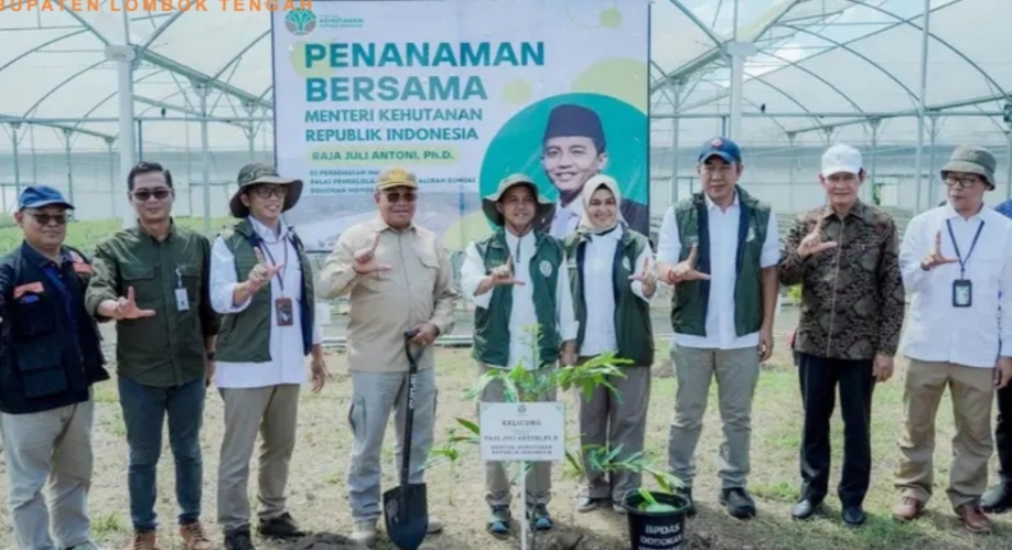 Lombok Tengah Disulap Jadi Paru-Paru NTB, 5 Juta Bibit Siap Tanam