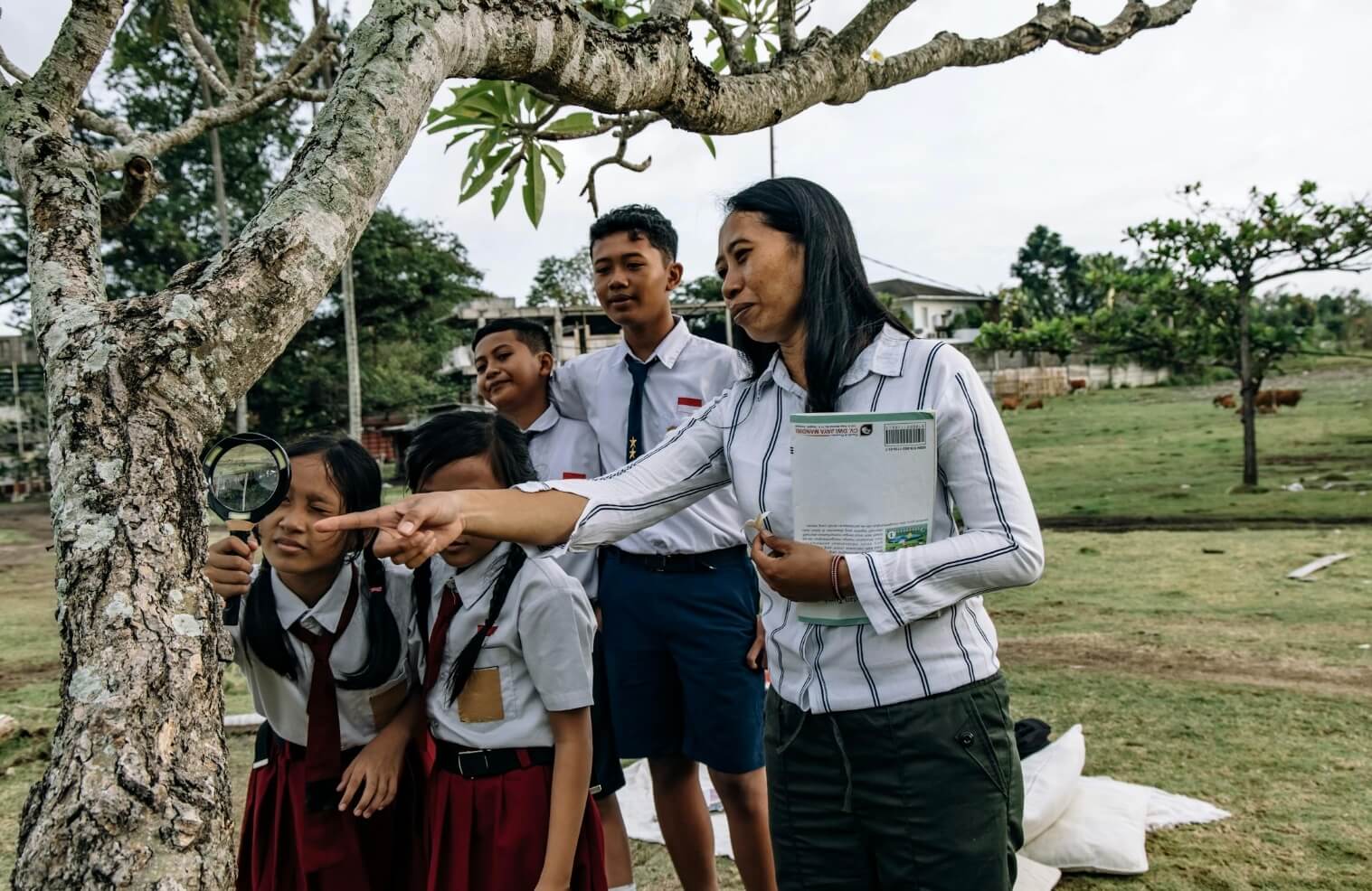 Buka Seleksi Guru untuk Sekolah Rakyat, Ini Jadwal Seleksi dan Syarat Lengkapnya Dsisini!