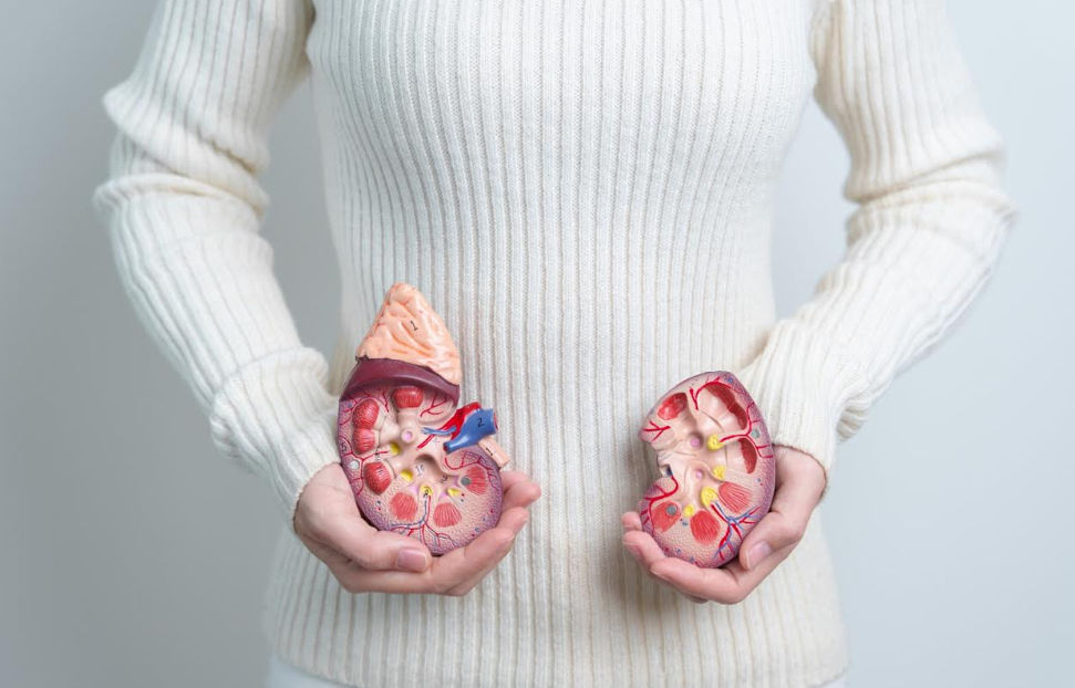 Anak Muda Kini Rentan Penyakit Ginjal, Kenali Penyebab dan Pencegahannya