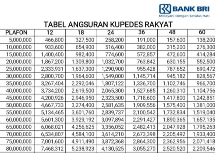 Program KUR BRI 2025 Sudah Dibuka, Cek Syarat dan Ketentuanya Disini
