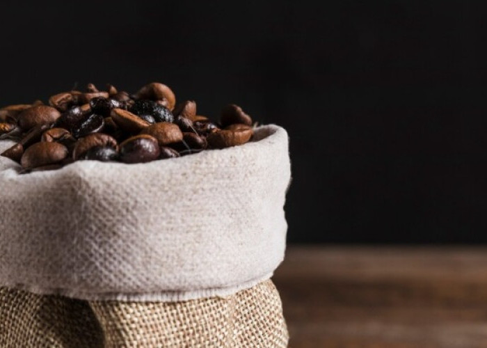 Cita Rasa Bikin Korea Jatuh Hati, Sekolah Kopi Global Siap Dibangun di NTB
