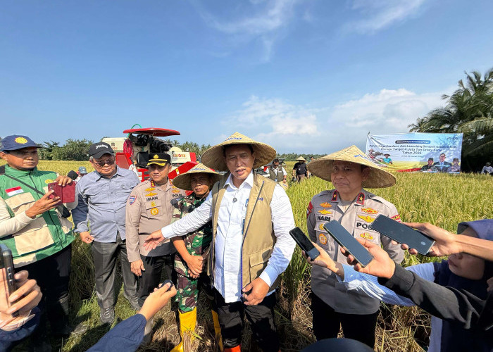 BULOG Optimalkan Serapan Gabah di NTB Menuju Target 4 Juta Ton Setara Beras Tahun 2026