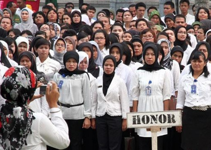 Nasib Honorer NTB Tak Jelas, DPRD Desak Pemprov Bertindak Cepat