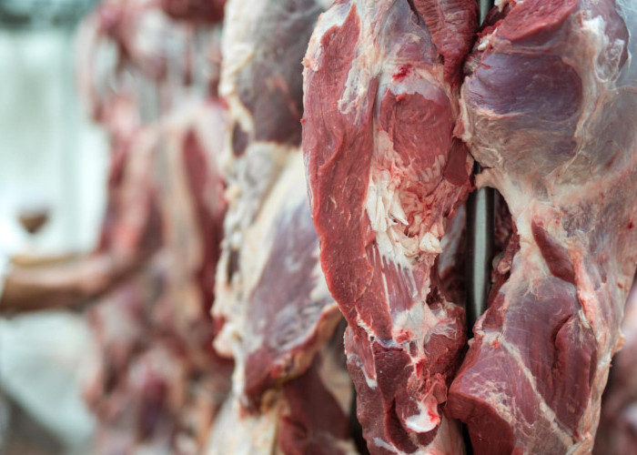 Jelang Idul Adha, 7 Tips Untuk Simpan Daging Kurban Tanpa Kulkas Biar Awet 