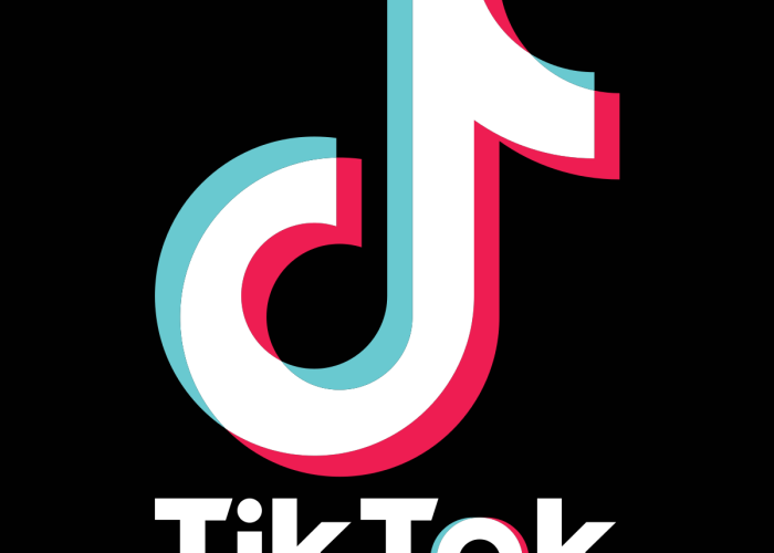 Fitur Live Tiktok Diblokir! Pemerintah Bongkar Dugaan Monetisasi Judol