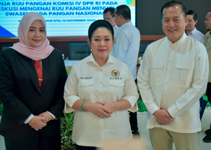 NTB Siap jadi Lumbung Pangan Nasional, Wagub Indah Paparkan Potensi Unggulan