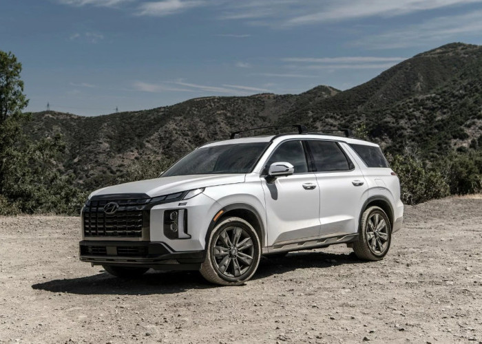 Geger! Pemilik Palisade Gugat Hyundai ke Pengadilan Gegara Masalah ABS