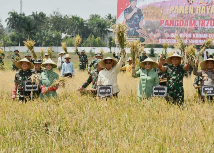 Petani Lotim Panen Senyum! Pupuk Melimpah, Harga Gabah Naik Tajam