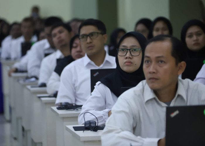 Daftar Jurusan dengan Peluang Terbesar Lolos CPNS 2026, Fresh Graduate Wajib Cek! 