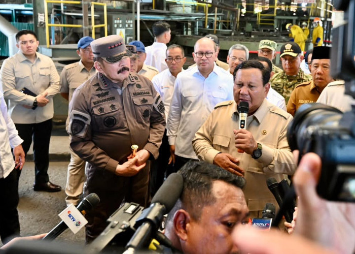 Presiden Prabowo Temukan Tambang Ilegal Berisi Tanah Jarang, Potensi Rugi Rp300 Triliun