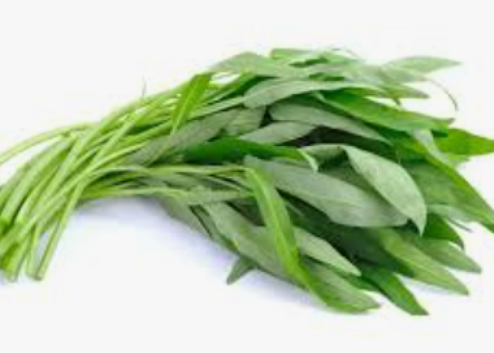 Kenapa Kangkung Jarang Masuk Menu Pasien Rumah Sakit? Ini Penjelasan Ahli Gizi