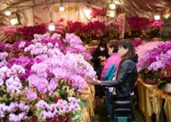 Sambut Tahun Kuda, Rayakan Imlek 2026 dengan Berlibur di Hong Kong   