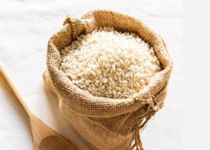 Ahli Ingatkan Hama Wereng dan Virus Kerdil Ancam Swasembada Beras