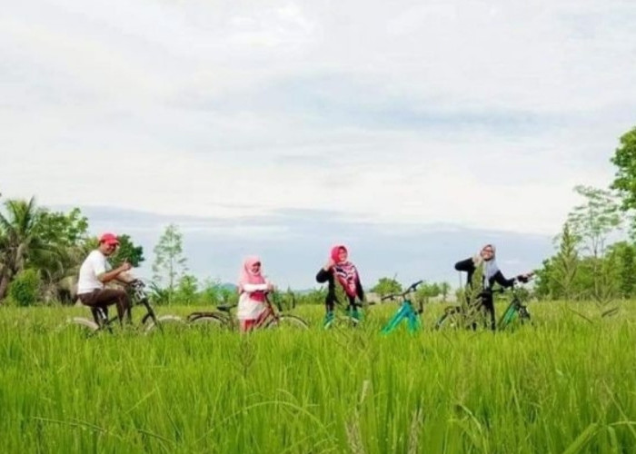 Dari Sawah ke Meja Makan, Desa Bilebante Pikat 28 Perwakilan Negara Sahabat