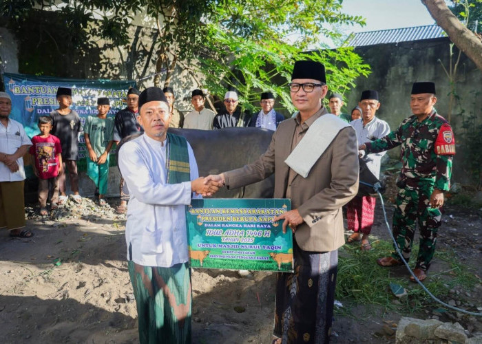 Wali Kota Mataram Serahkan Hewan Kurban dari Presiden RI  saat Hari Raya Idul Adha