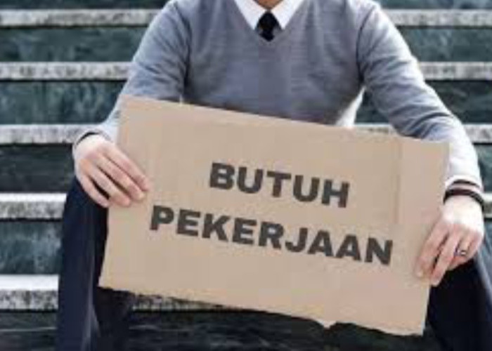 Pengangguran di NTB Didominasi Lulusan SMK, DPR Soroti Kurikulum yang Tidak Sesuai Dunia Kerja Lokal