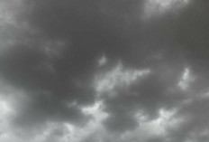 Pakar Ekotoksikologi Sebut Mikroplastik Kurangi Efektivitas Laut dalam Menyerap Karbon