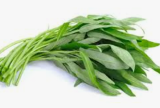 Kenapa Kangkung Jarang Masuk Menu Pasien Rumah Sakit? Ini Penjelasan Ahli Gizi