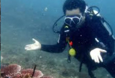 Bertemu Menteri Kanada, Gubernur Lalu Yakin Pariwisata NTB Mampu Go Internasional!