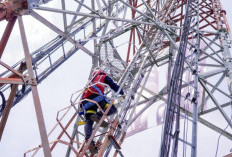 95% Kebutuhan Digital Warga Lombok Diakses dengan Mudah Berkat Provider 3 yang Makin Meluas